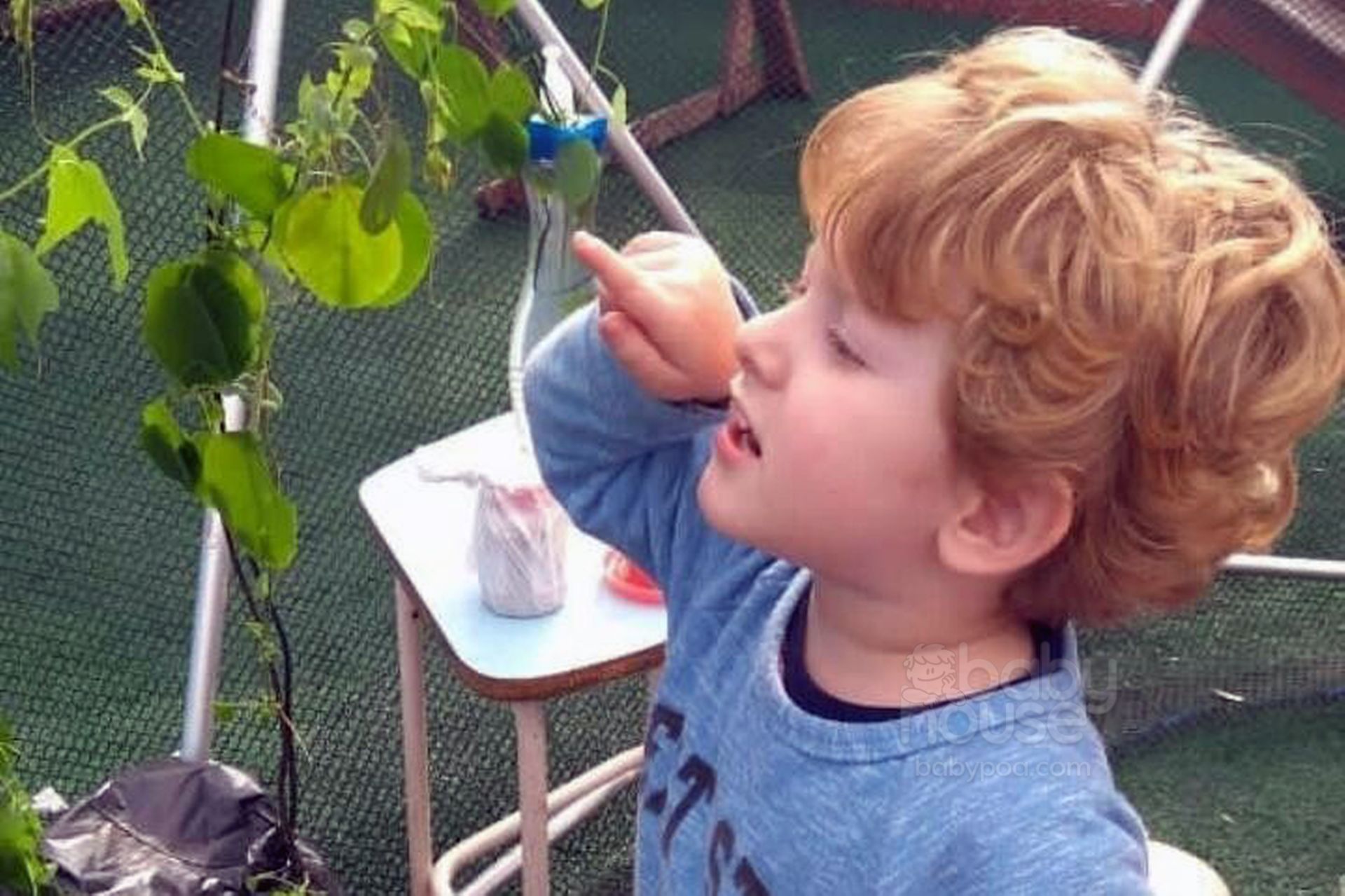 Projetos que surgem das crianças