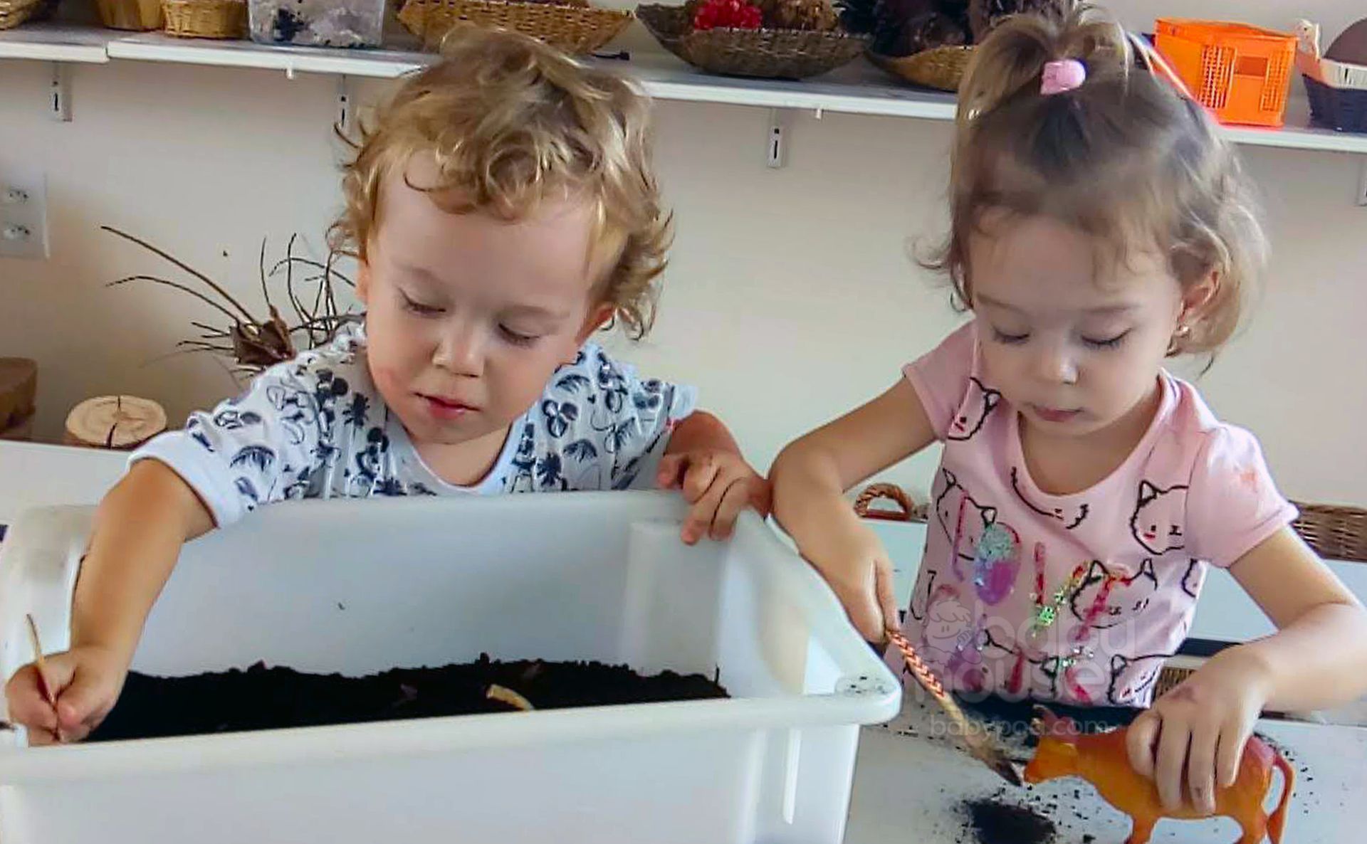 Projetos que surgem das crianças