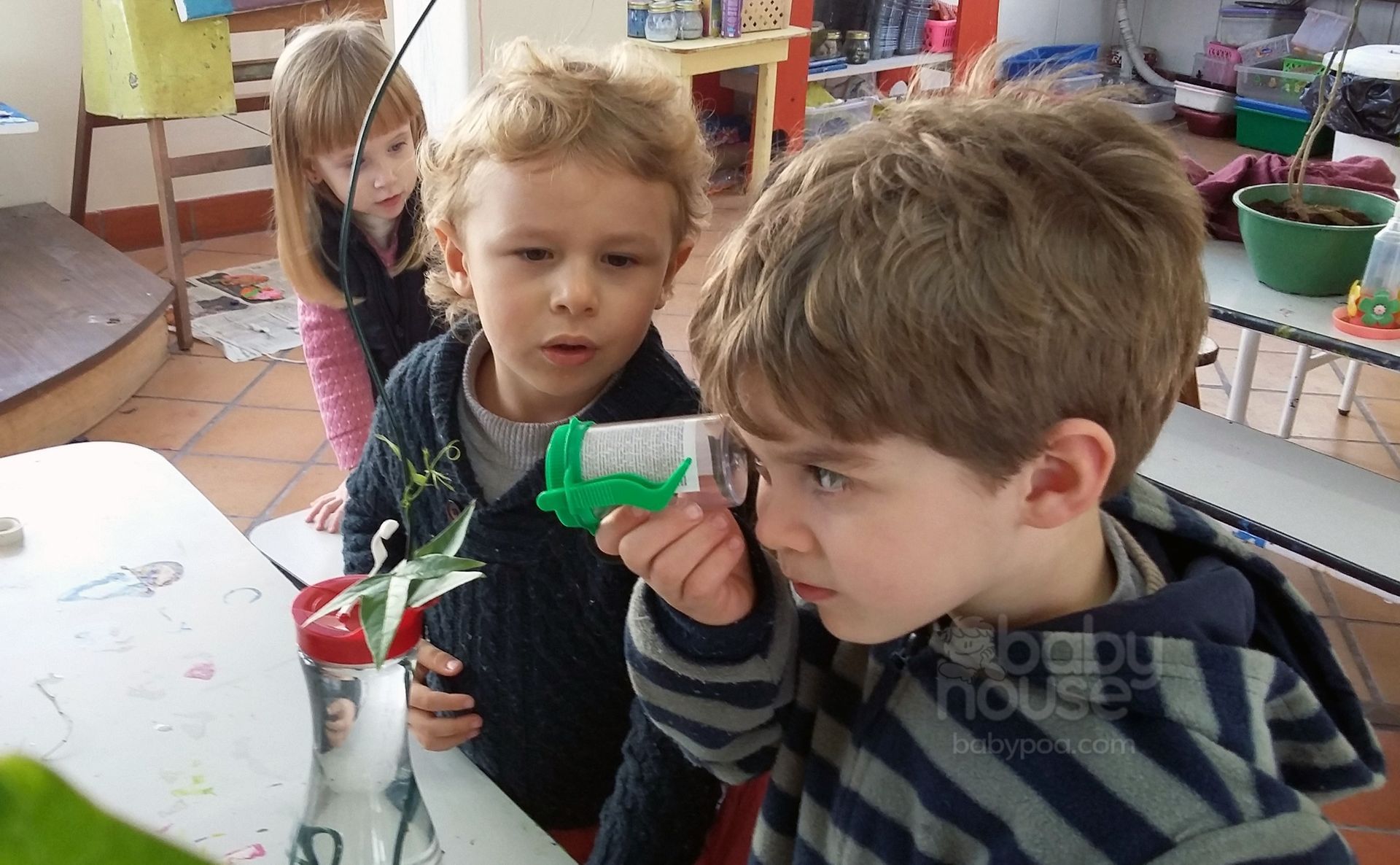 Projetos que surgem das crianças