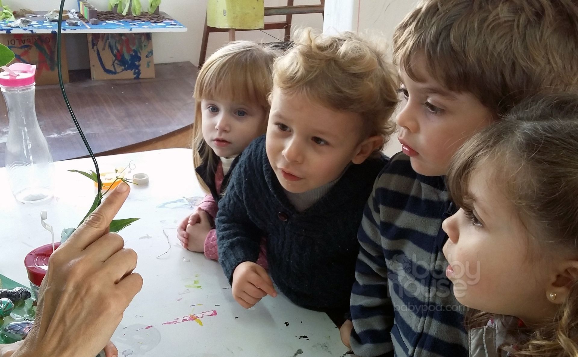 Projetos que surgem das crianças