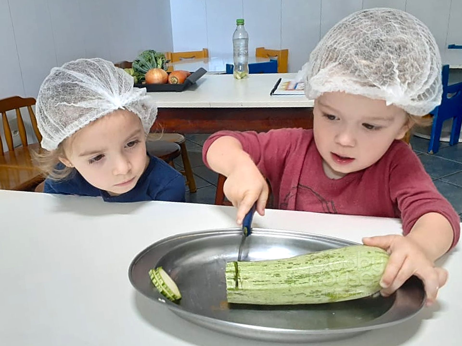 Uma pedagogia alimentada pela vida